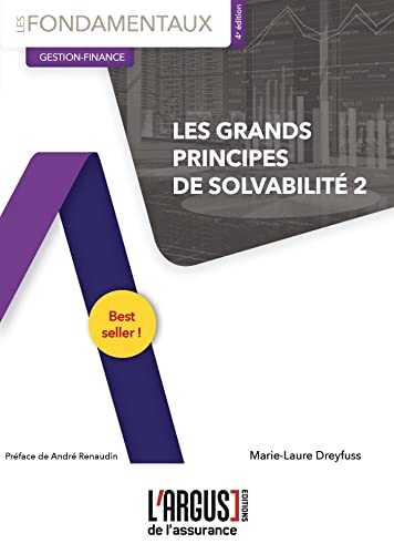 GRANDS PRINCIPES DE SOLVABILITE 2 (LES). 4E EDITION